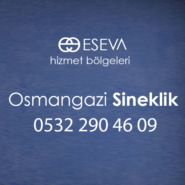 Osmangazi Sineklik